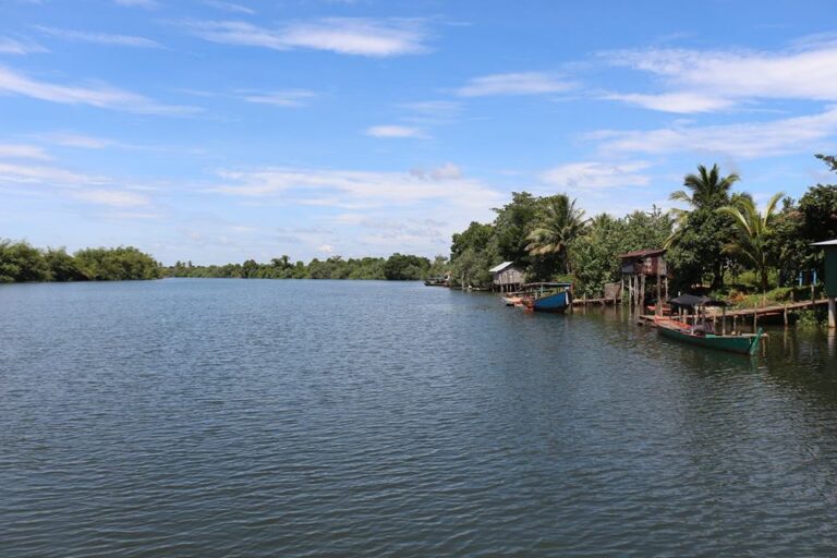 International Day of Action for Rivers: Protecting Lifelines of Biodiversity